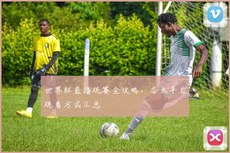 世界杯直播观赛全攻略,各大平台观看方式汇总