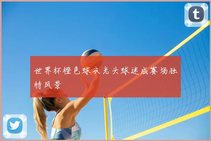 世界杯橙色球衣光头球迷成赛场独特风景