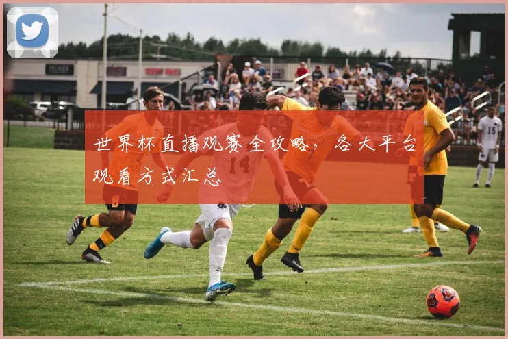 世界杯直播观赛全攻略,各大平台观看方式汇总