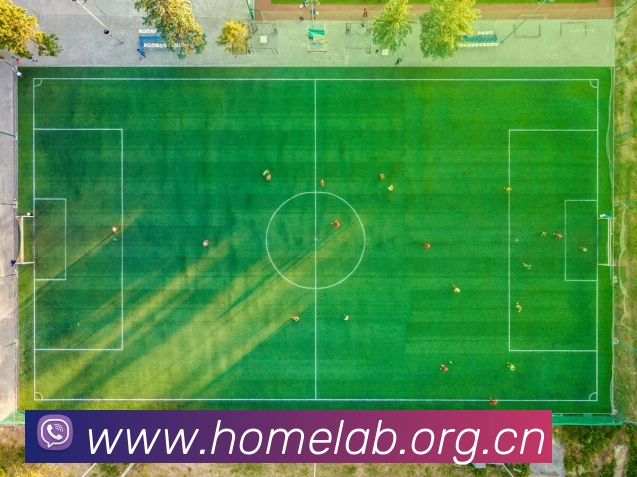 开云手机登录官网服务体系